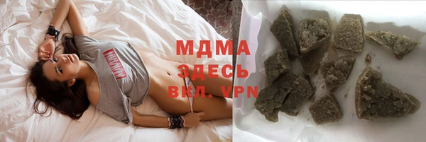spice Гусев