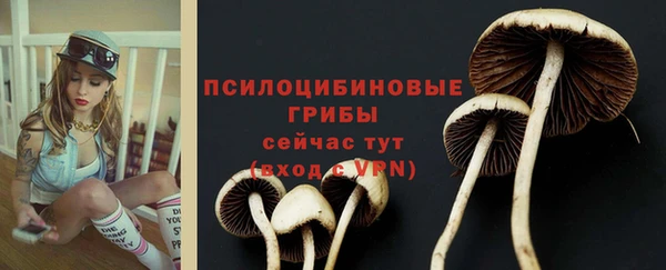мдма Ельня