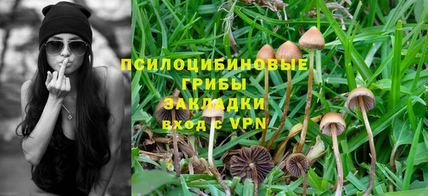мдма Ельня